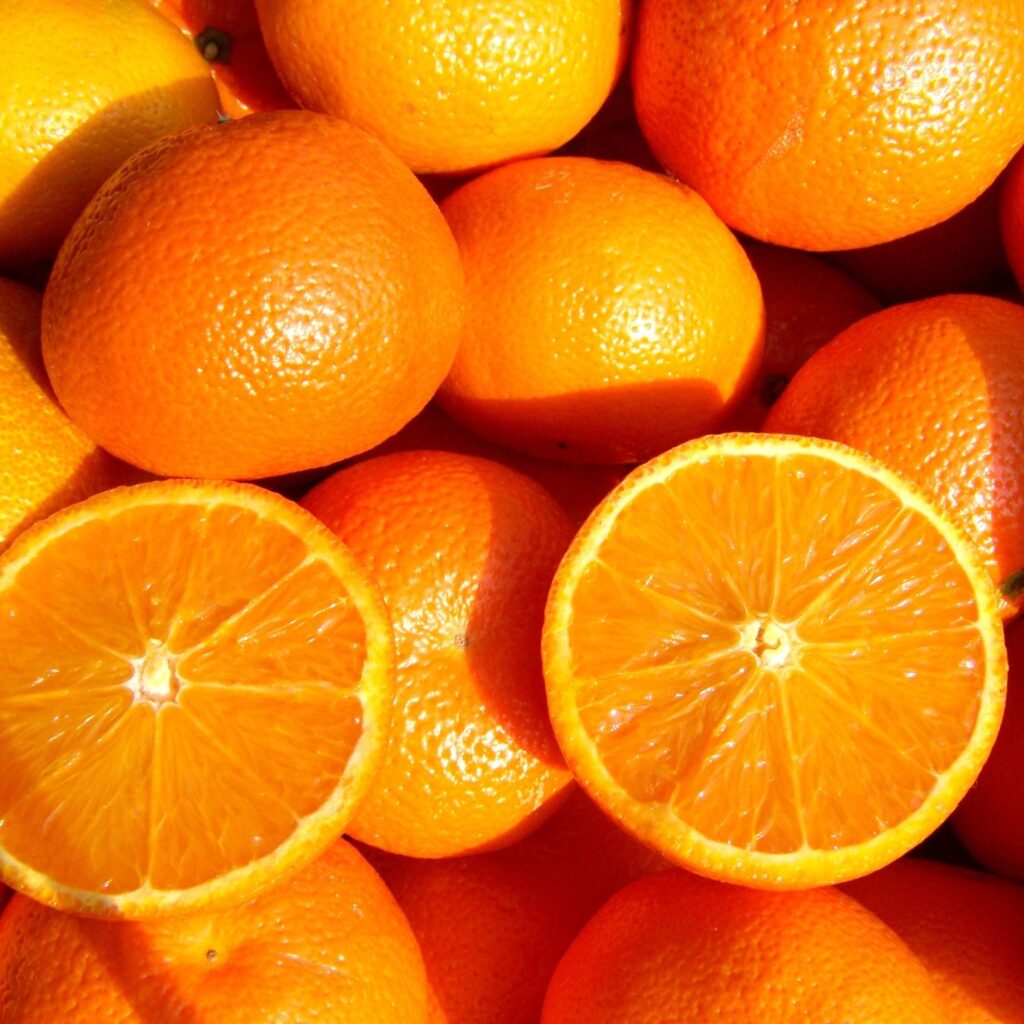NARANJAS VALENCIANAS ECOLÓGICAS AL POR MAYOR