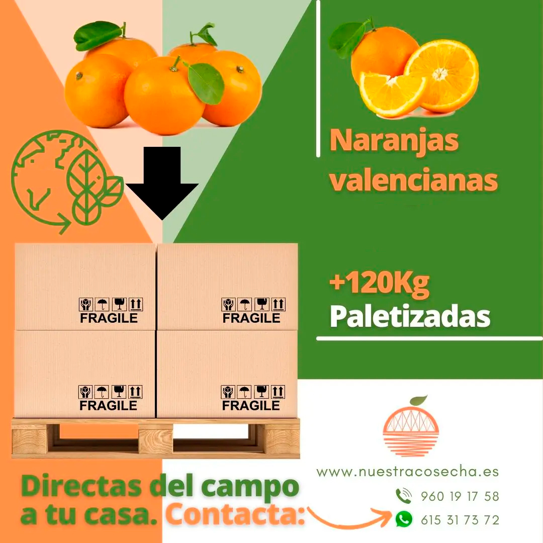 Naranjas valencianas de producción responsable PALETIZADAS