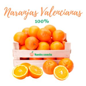 Naranjas valencianas para máquina de zumo AL POR MAYOR