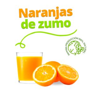 Naranjas Valencianas sostenibles de mesa